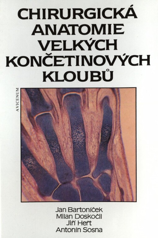 Chirurgická anatomie velkých končetinových kloubů