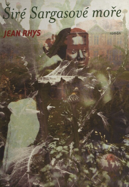 Širé Sargasové moře: román