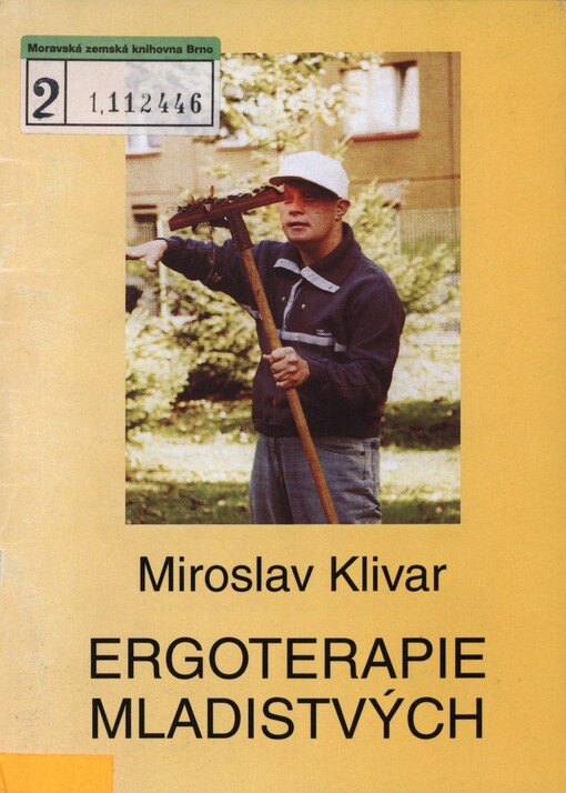 Ergoterapie mladistvých