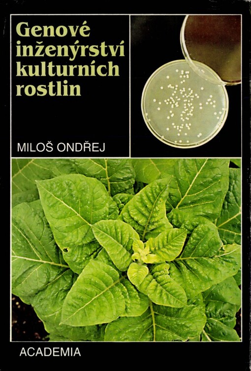 Genové inženýrství kulturních rostlin