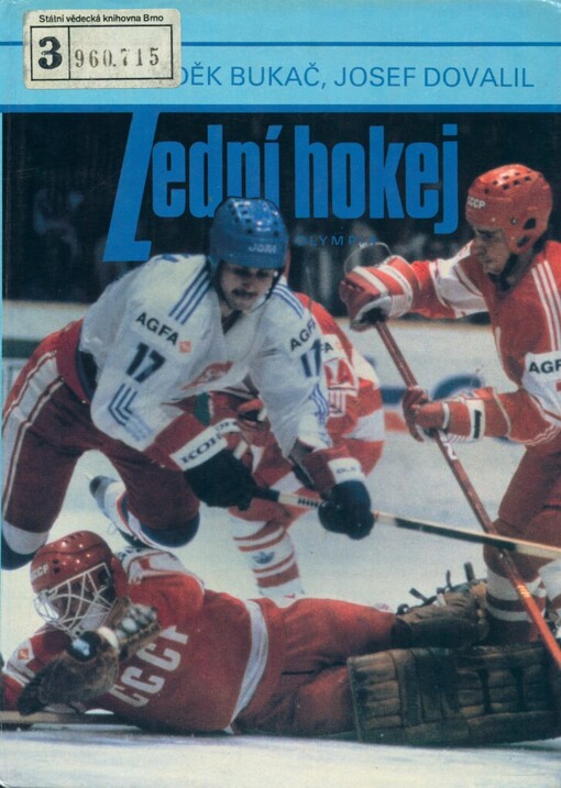 Lední hokej: trénink herní dokonalosti