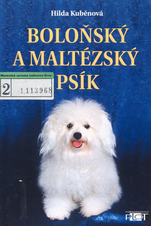 Boloňský a maltézský psík