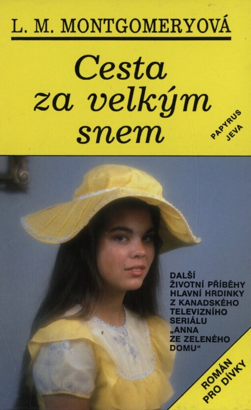 Cesta za velkým snem :Román pro dívky