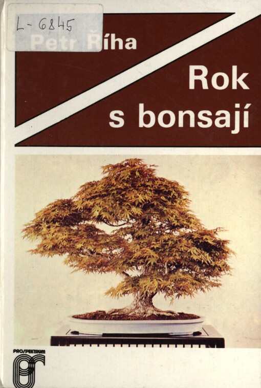 Rok s bonsají