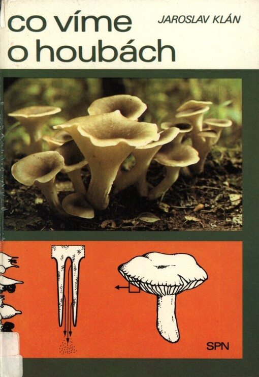 Co víme o houbách