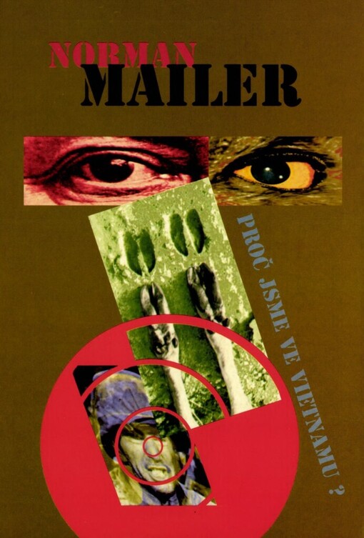 Proč jsme ve Vietnamu?