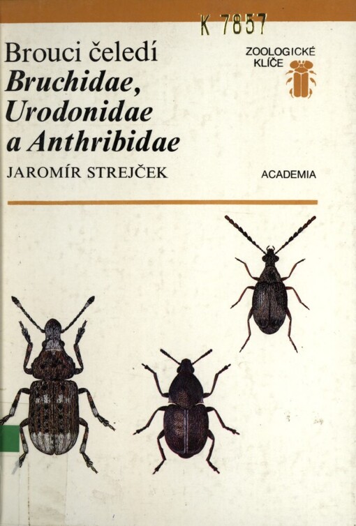 Brouci čeledí Bruchidae, Urodonidae a Anthribidae
