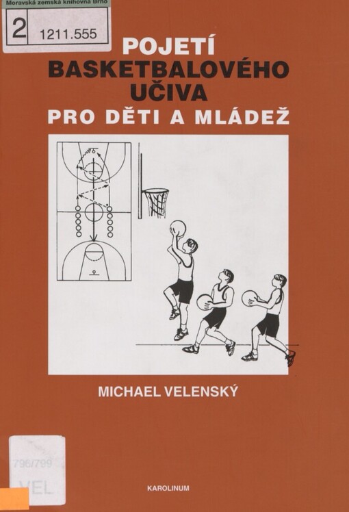 Pojetí basketbalového učiva pro děti a mládež