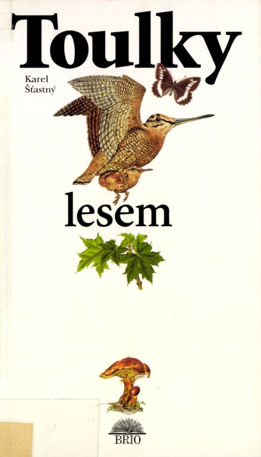 Toulky lesem