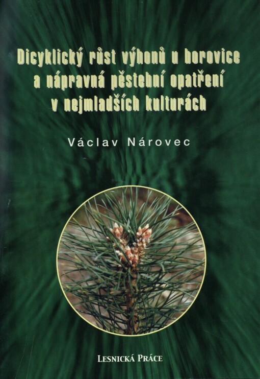 Dicyklický růst výhonů u borovice a nápravná pěstební opatření v nejmladších kulturách