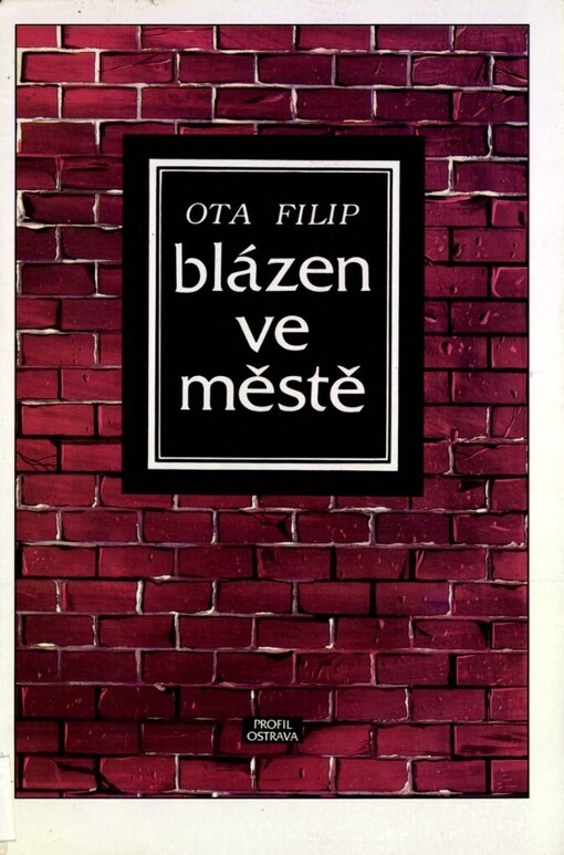 Blázen ve městě