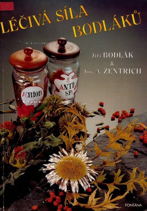 Léčivá síla bodláků