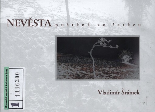 Nevěsta puštěná ze řetězu