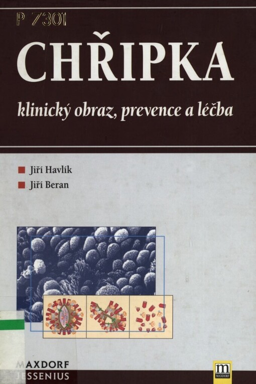Chřipka: klinický obraz, prevence a léčba