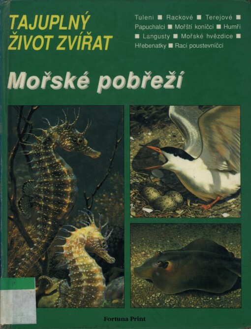 Mořské pobřeží