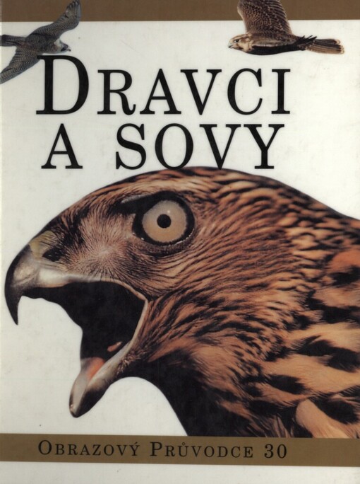 Dravci a sovy