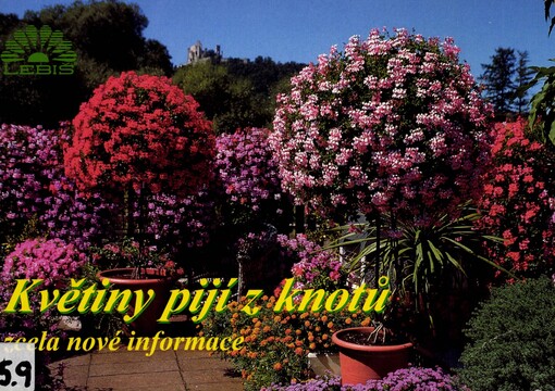 Květiny pijí z knotů: zcela nové informace