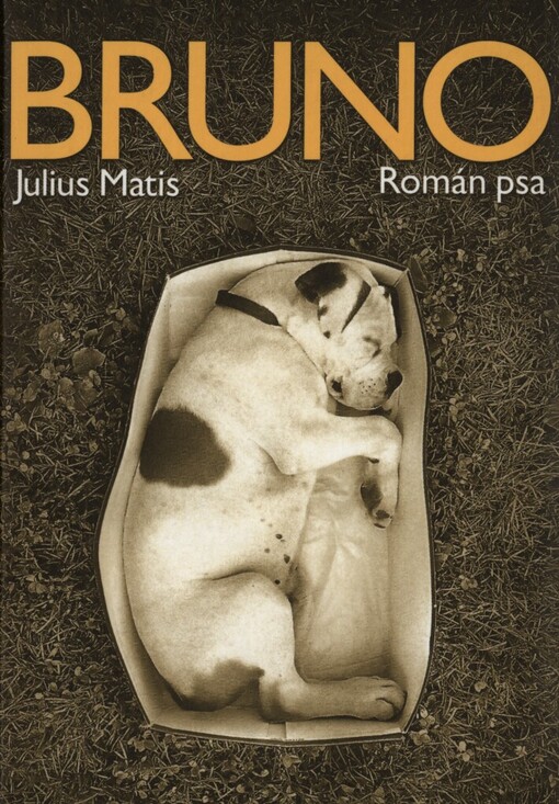 Bruno: román psa