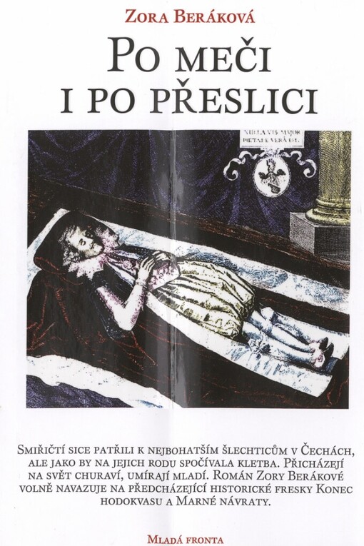 Po meči i po přeslici: historický román