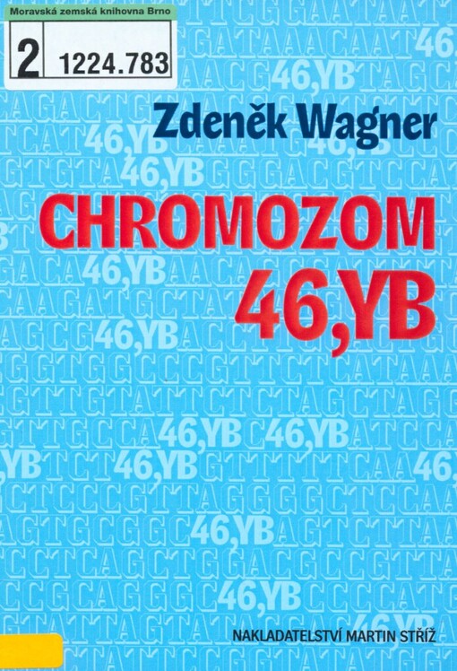 Chromozom 46,YB