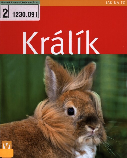 Králík