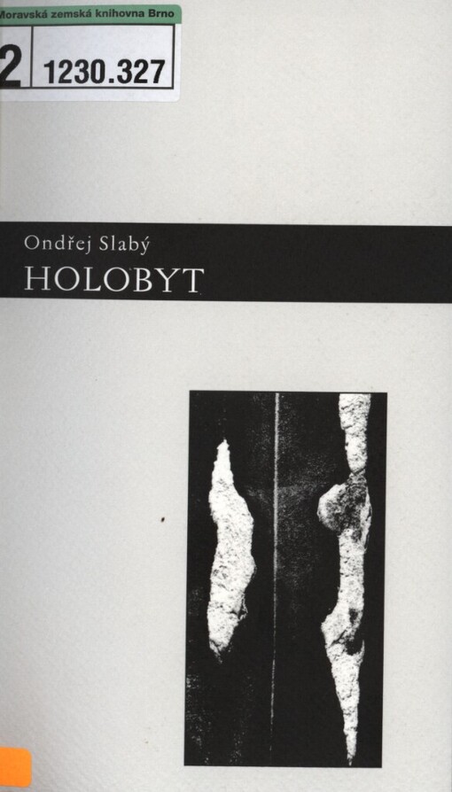 Holobyt: verše z let 1996-1998
