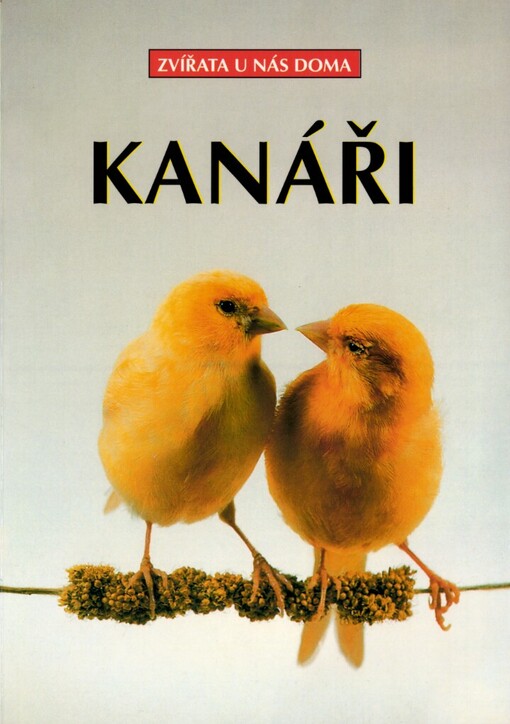 Kanáři