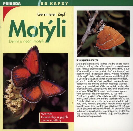 Motýli: [denní a noční motýli]