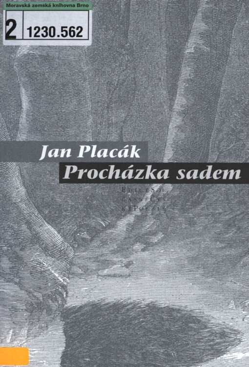 Procházka sadem