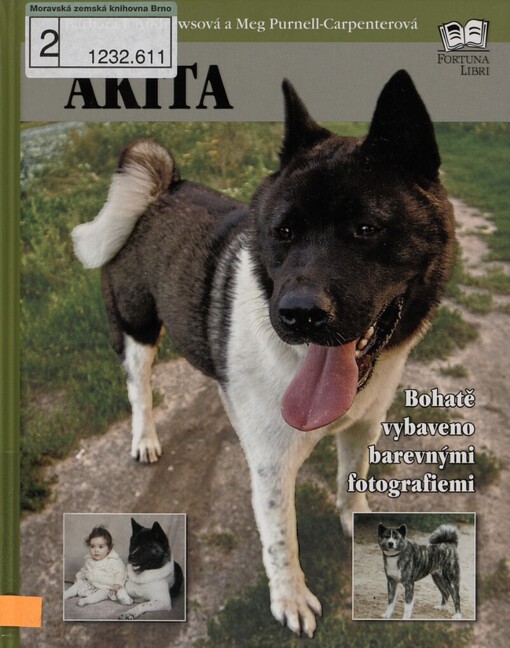 Akita