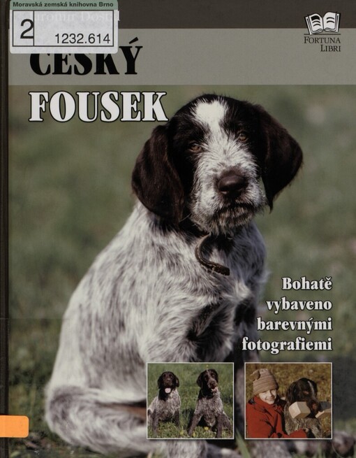 Český fousek
