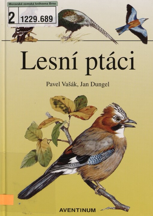 Lesní ptáci