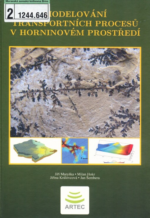 Modelování transportních procesů v horninovém prostředí