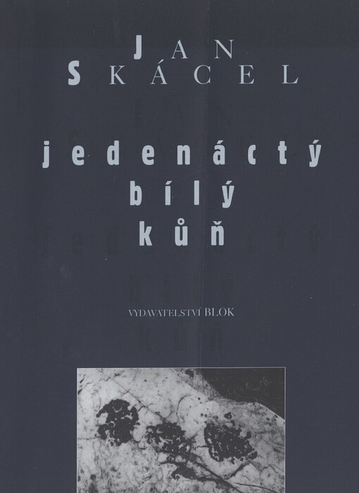 Jedenáctý bílý kůň