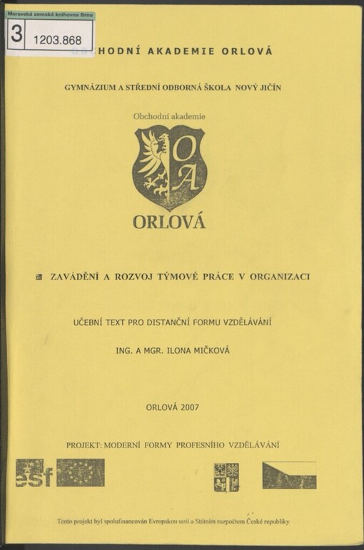 Zavádění a rozvoj týmové práce v organizaci