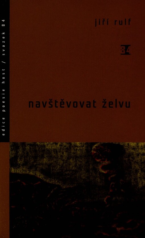 Navštěvovat želvu: verše z let 2003-2006