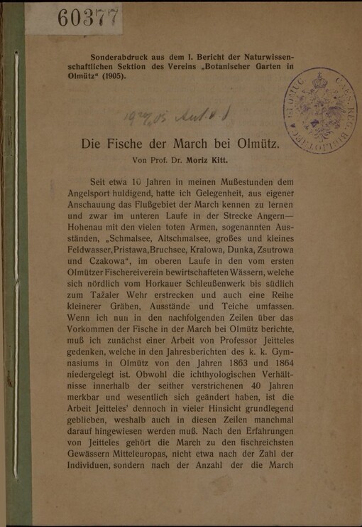 Fische der March bei Olmütz