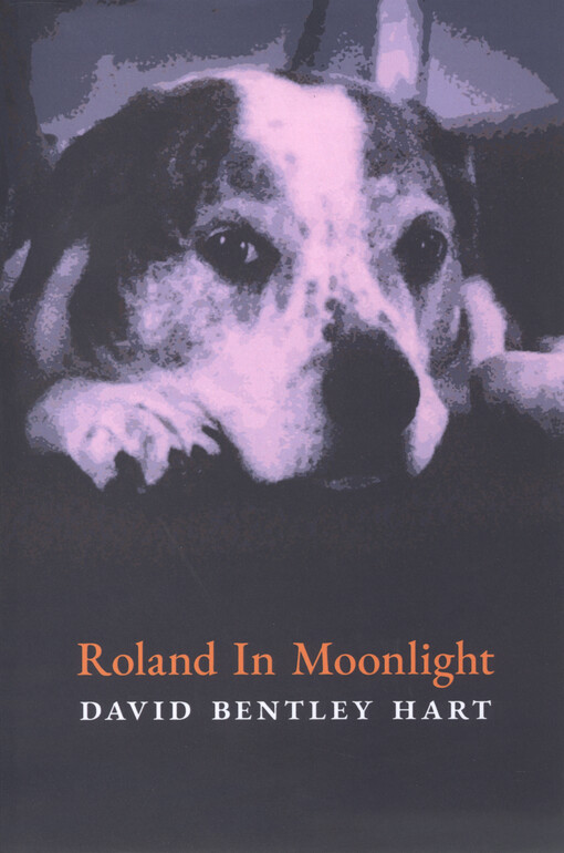 Roland in moonlight