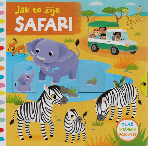Jak to žije. Safari