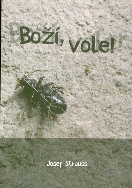 Boží, vole!