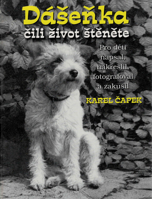 Dášeňka, čili, Život štěněte