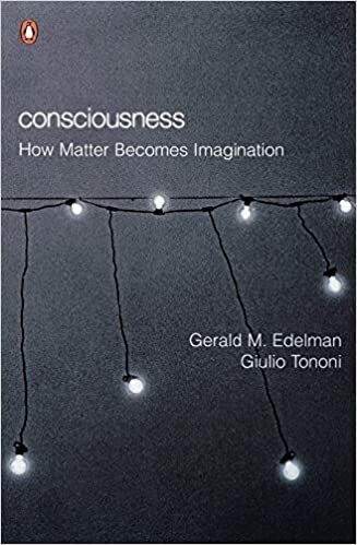 Consciousness : how matter becomes imagination