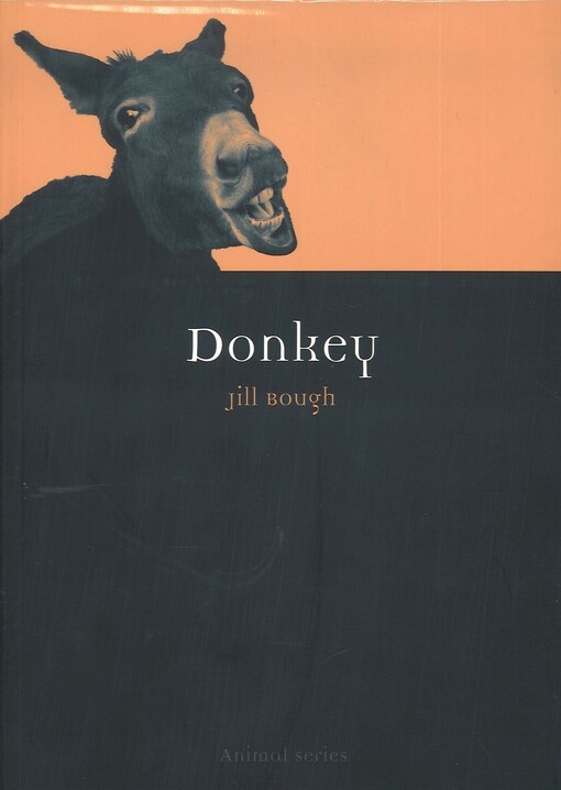 Donkey
