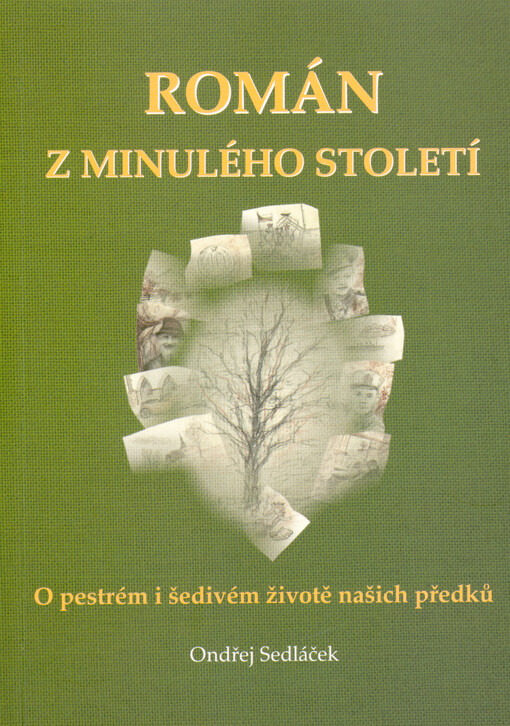 Román z minulého století: o pestrém i šedivém životě našich předků