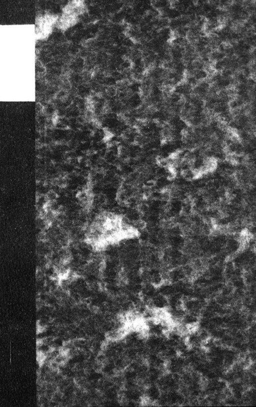 Slovanská vzájemnost 1836-1936: sborník prací k 100. výročí vydání rozpravy Jana Kollára o slovanské vzájemnosti 