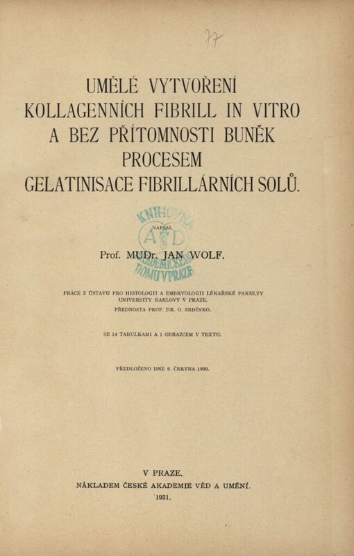 Umělé vytvoření kollagenních fibrill in vitro a bez přítomnosti buněk procesem gelatinisace fibrillárních solů