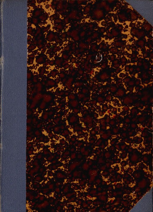 Český duch ve století XIX