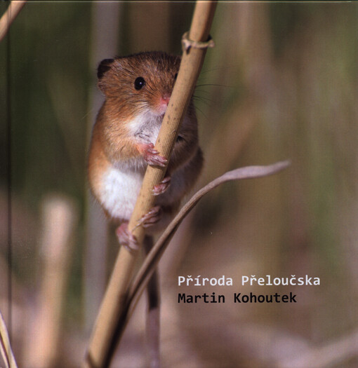 Příroda Přeloučska