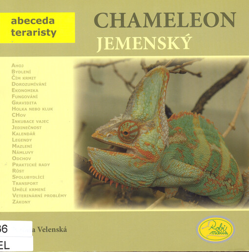 Chameleon jemenský