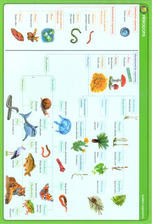 Tabulky pro 6.-9. třídu ZŠ : matematika, fyzika, chemie, přírodopis, zeměpis
